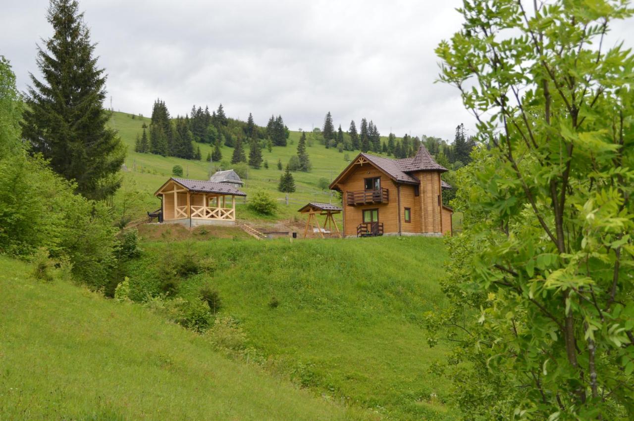 Villa Пагорб Їжака / Hedgehog Hill Jablunyzja Exterior foto