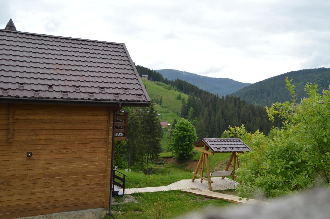 Villa Пагорб Їжака / Hedgehog Hill Jablunyzja Exterior foto