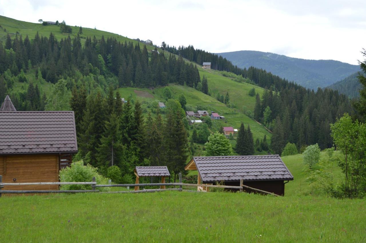 Villa Пагорб Їжака / Hedgehog Hill Jablunyzja Exterior foto