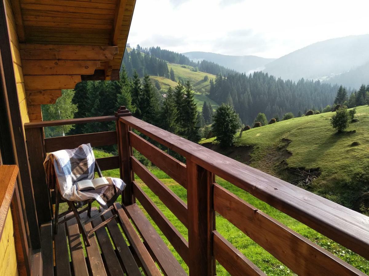 Villa Пагорб Їжака / Hedgehog Hill Jablunyzja Exterior foto